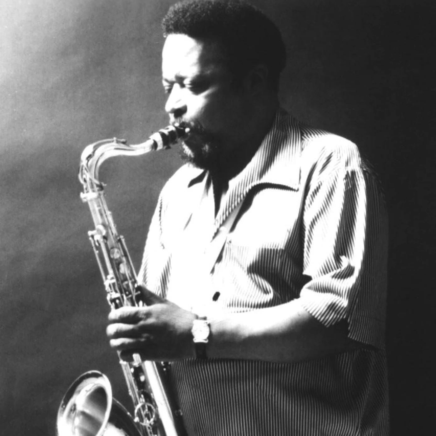 Gene Ammons Brand Page