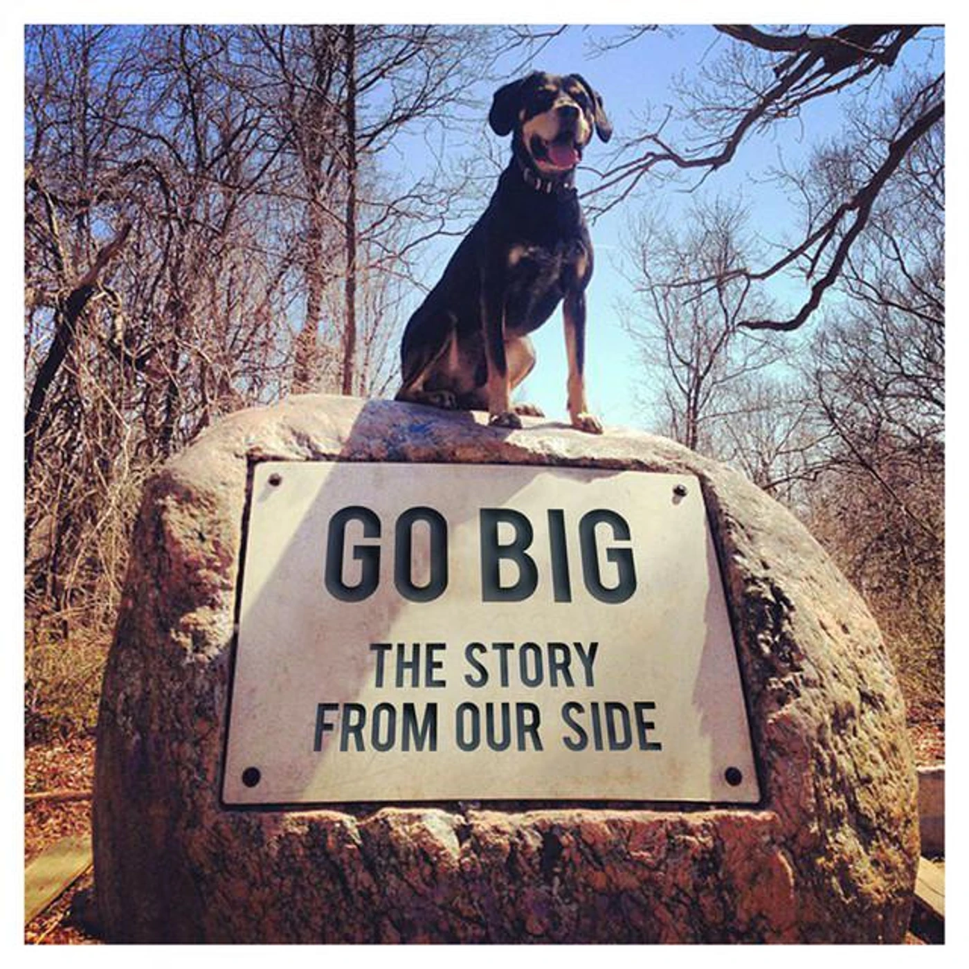 Go Big Brand Page