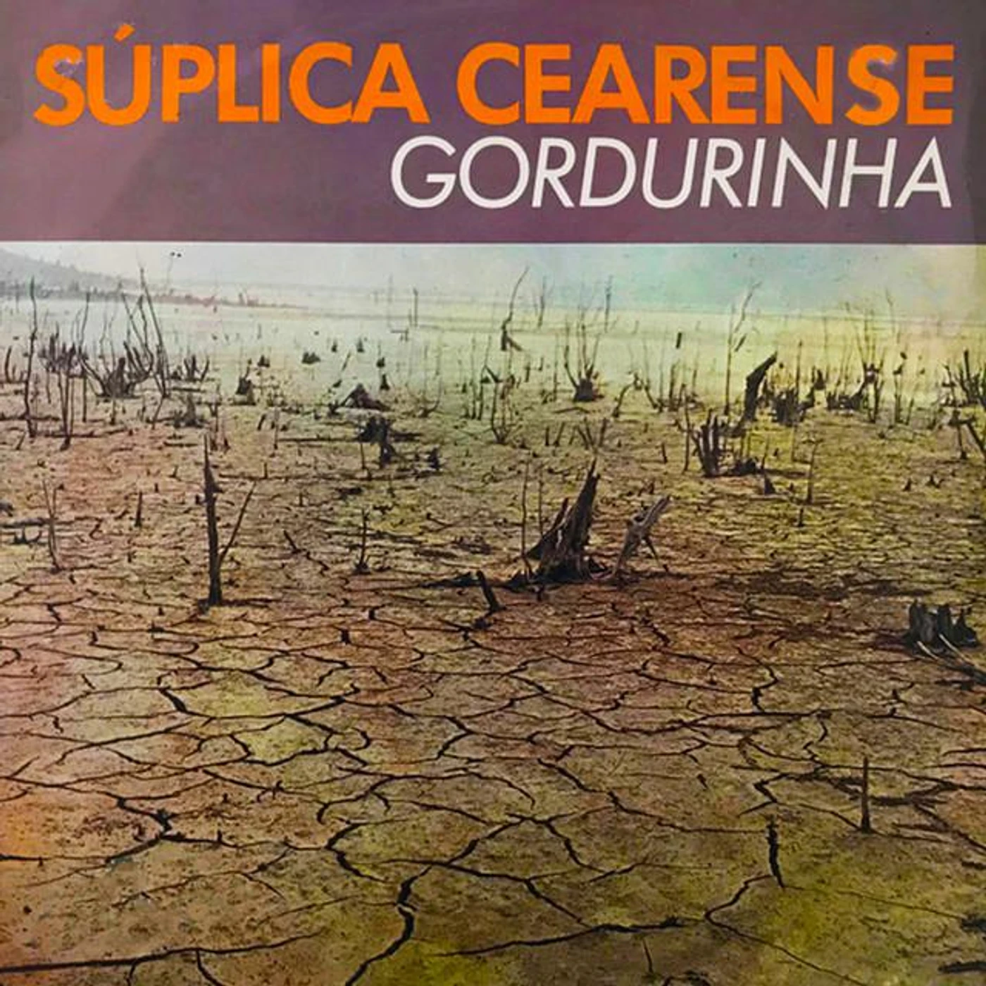 Gordurinha Brand Page