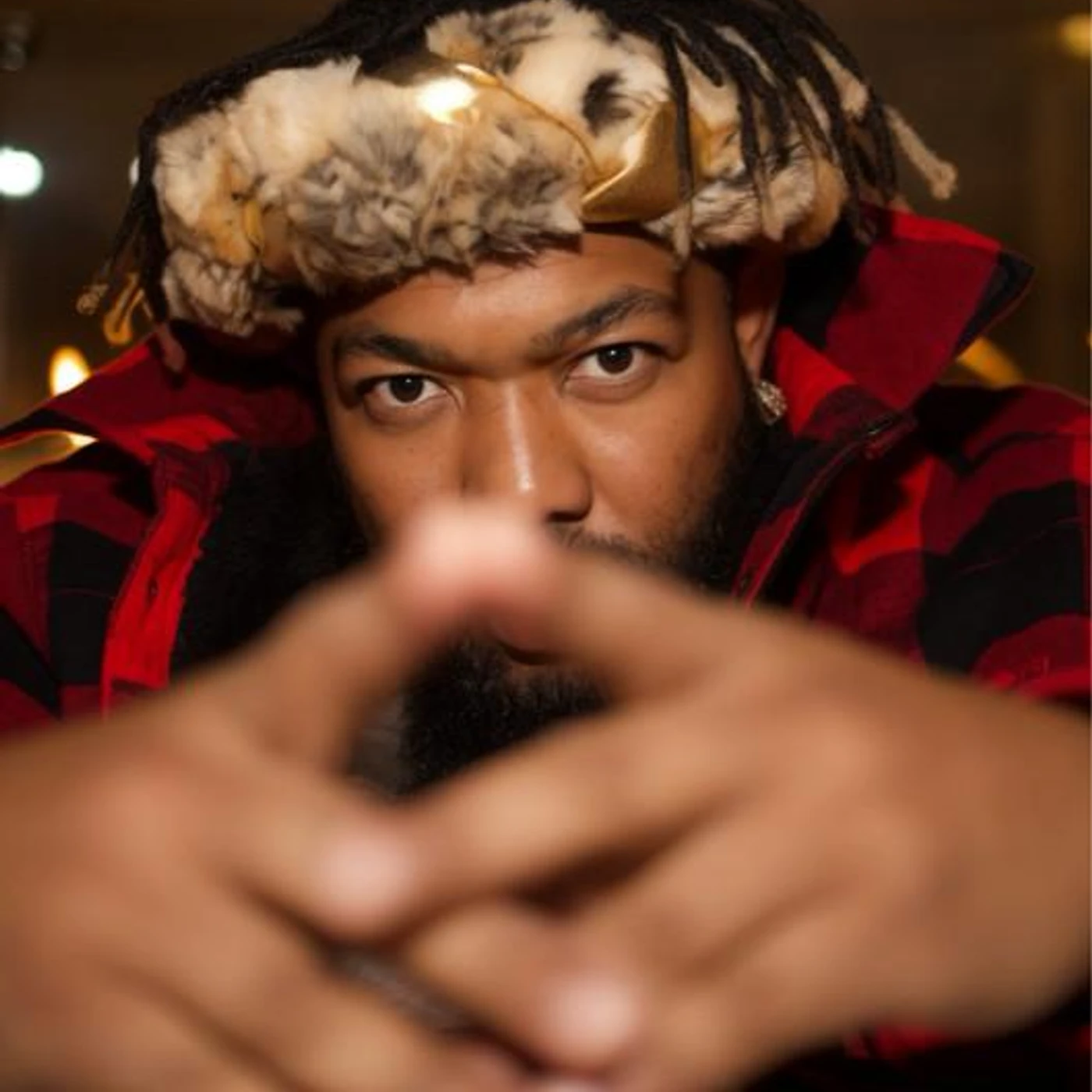 Gorilla Zoe