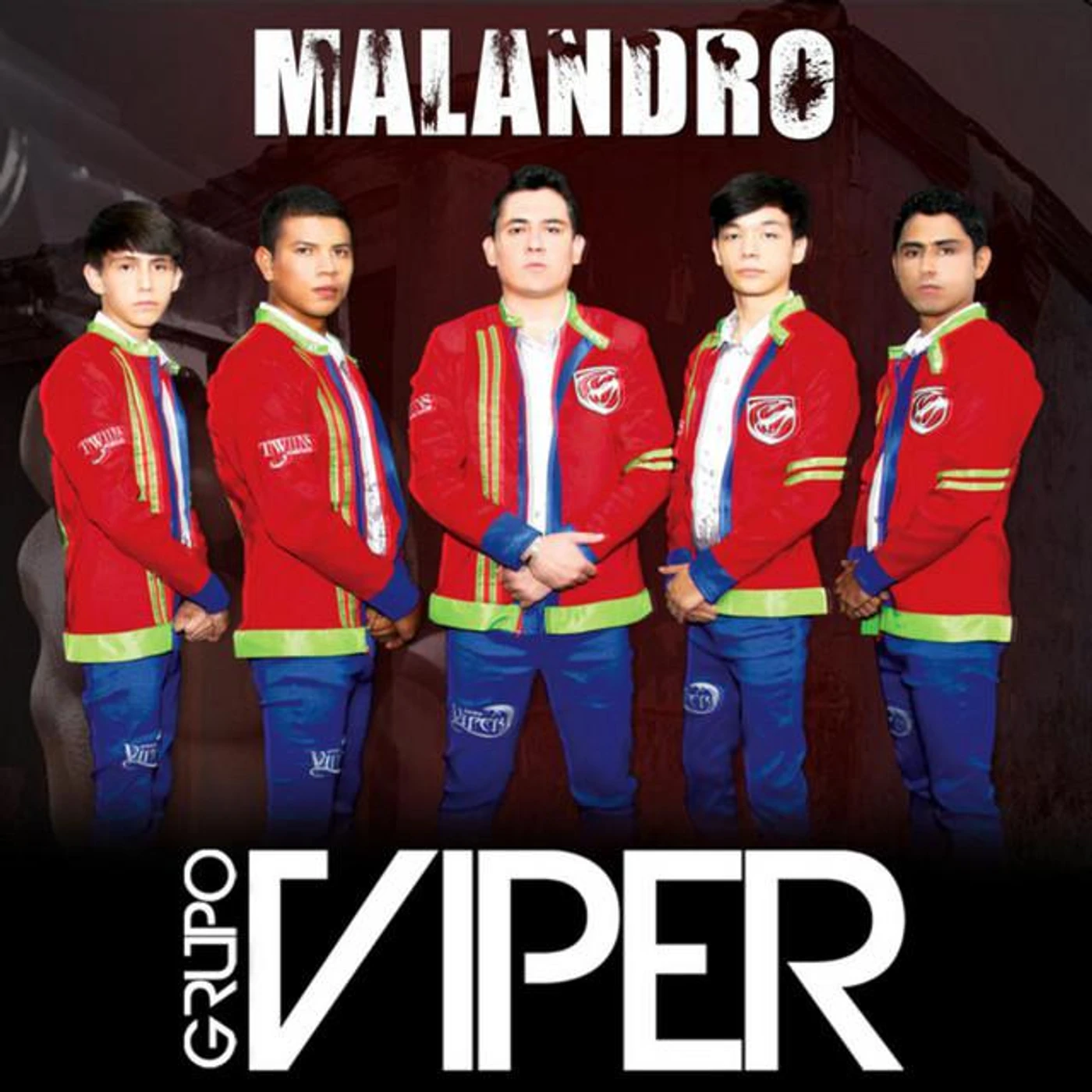 Grupo Viper Brand Page