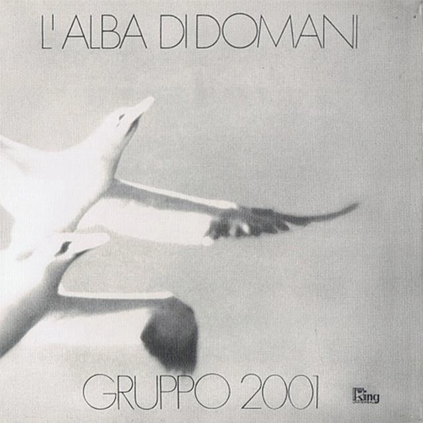 Gruppo 2001 Brand Page