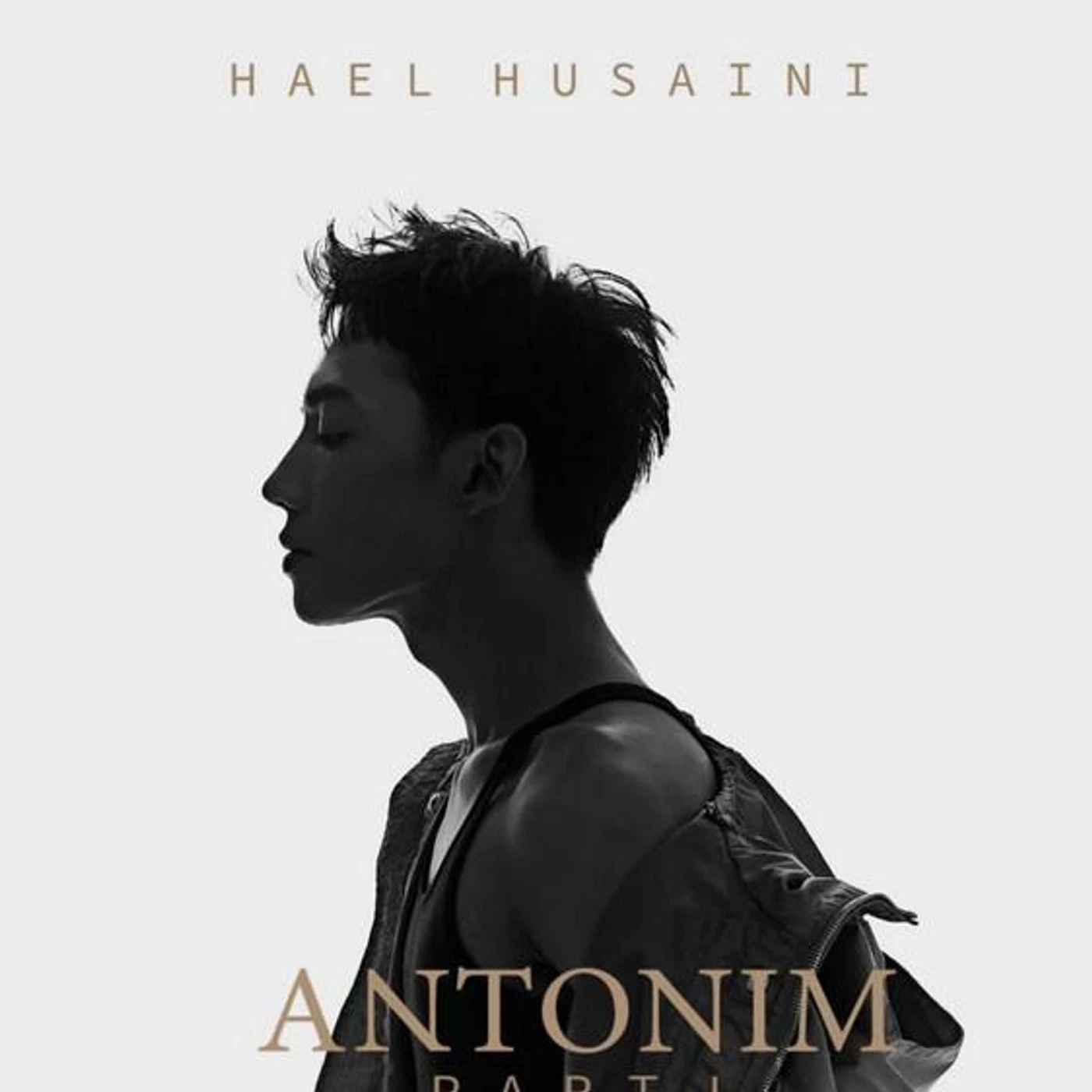 Hael Husaini Brand Page
