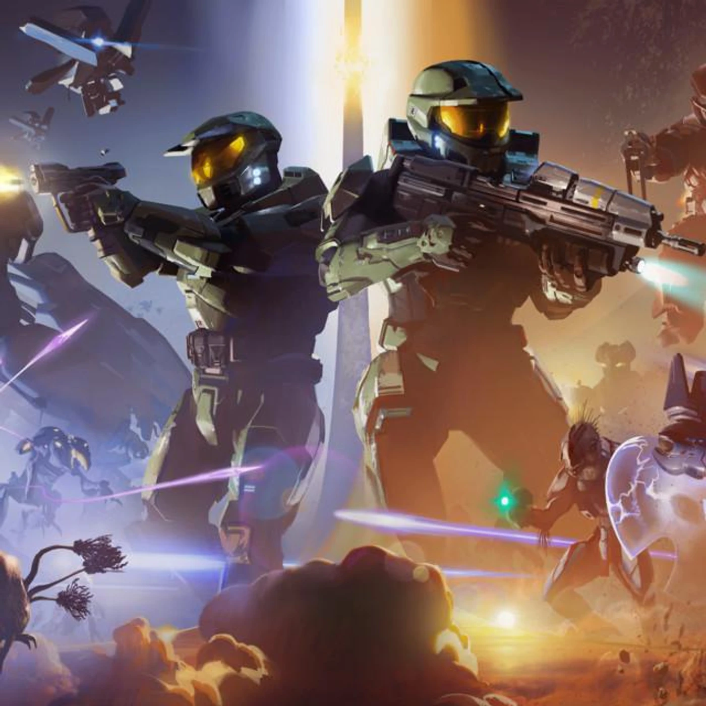 Halo Brand Page