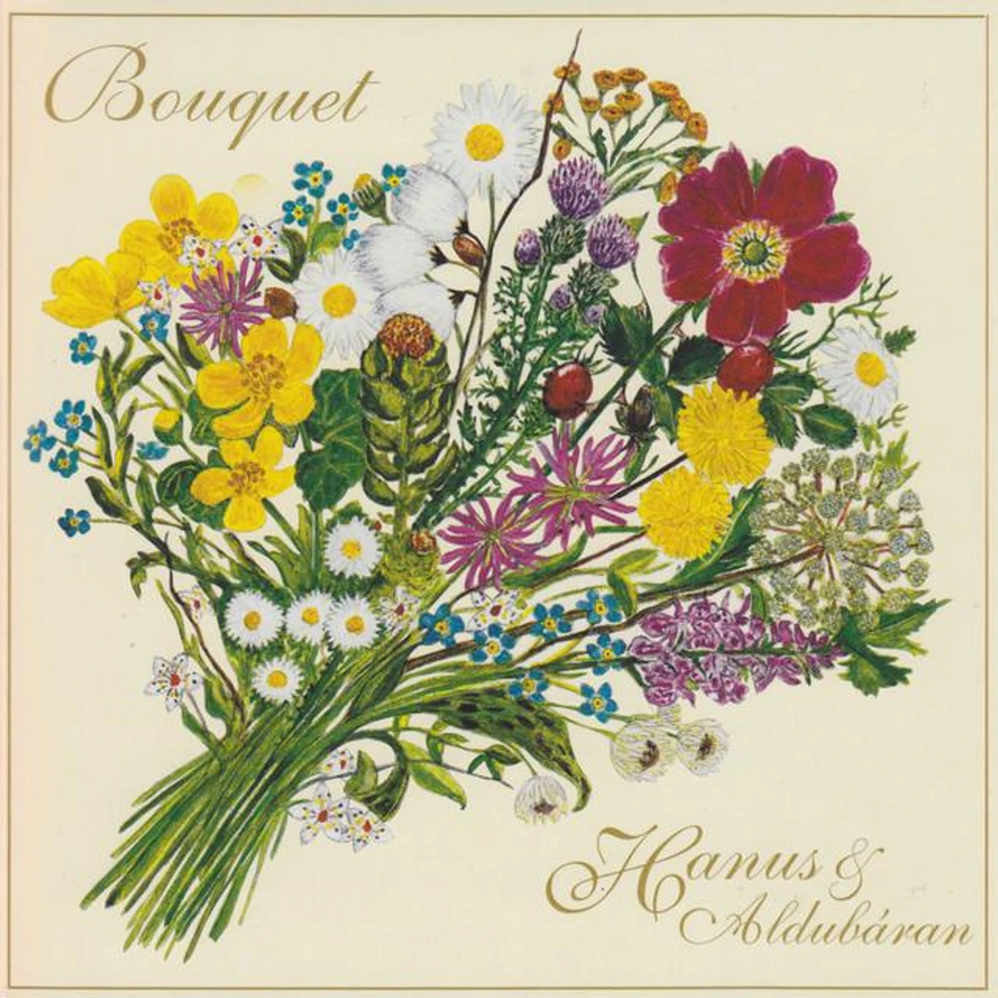 Hanus G. Johansen Brand Page