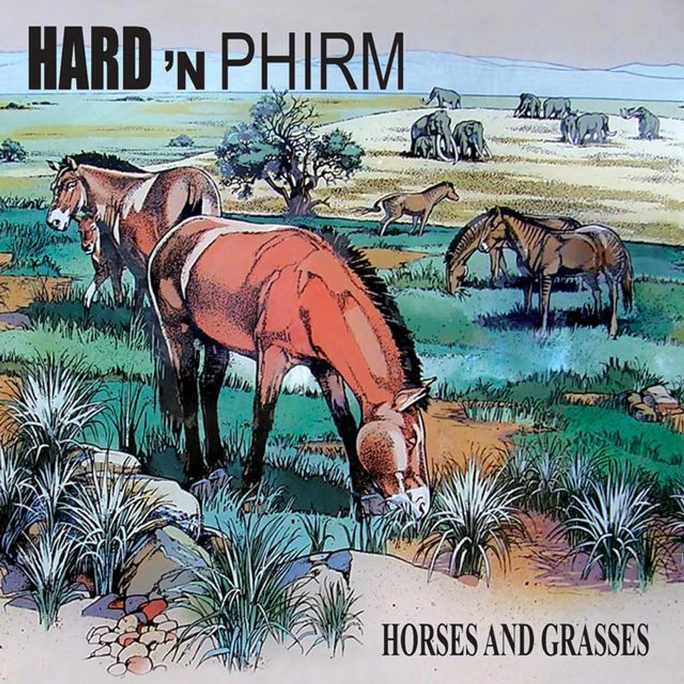 Hard 'n Phirm Brand Page