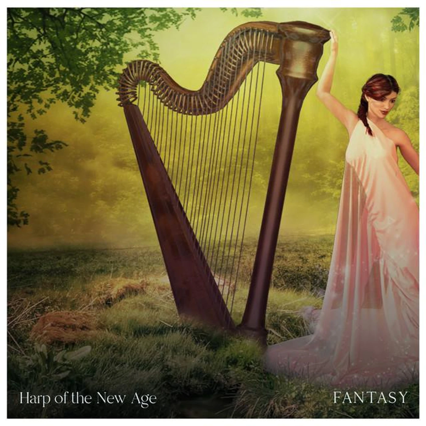 Harp of the New Age Brand Page