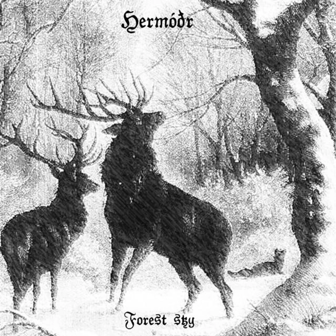 Hermóðr Brand Page