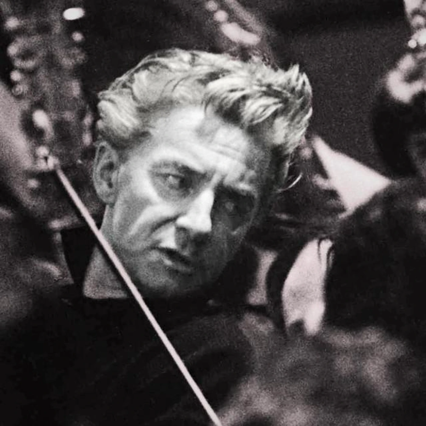 Herbert von Karajan Brand Page