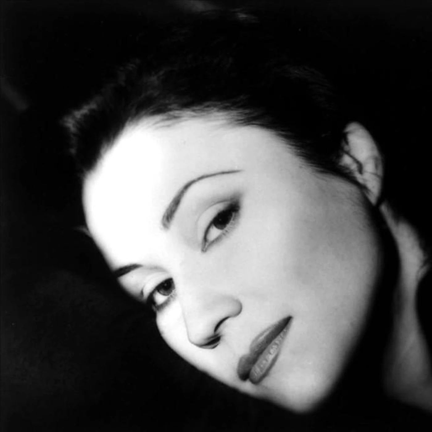 Holly Cole Brand Page
