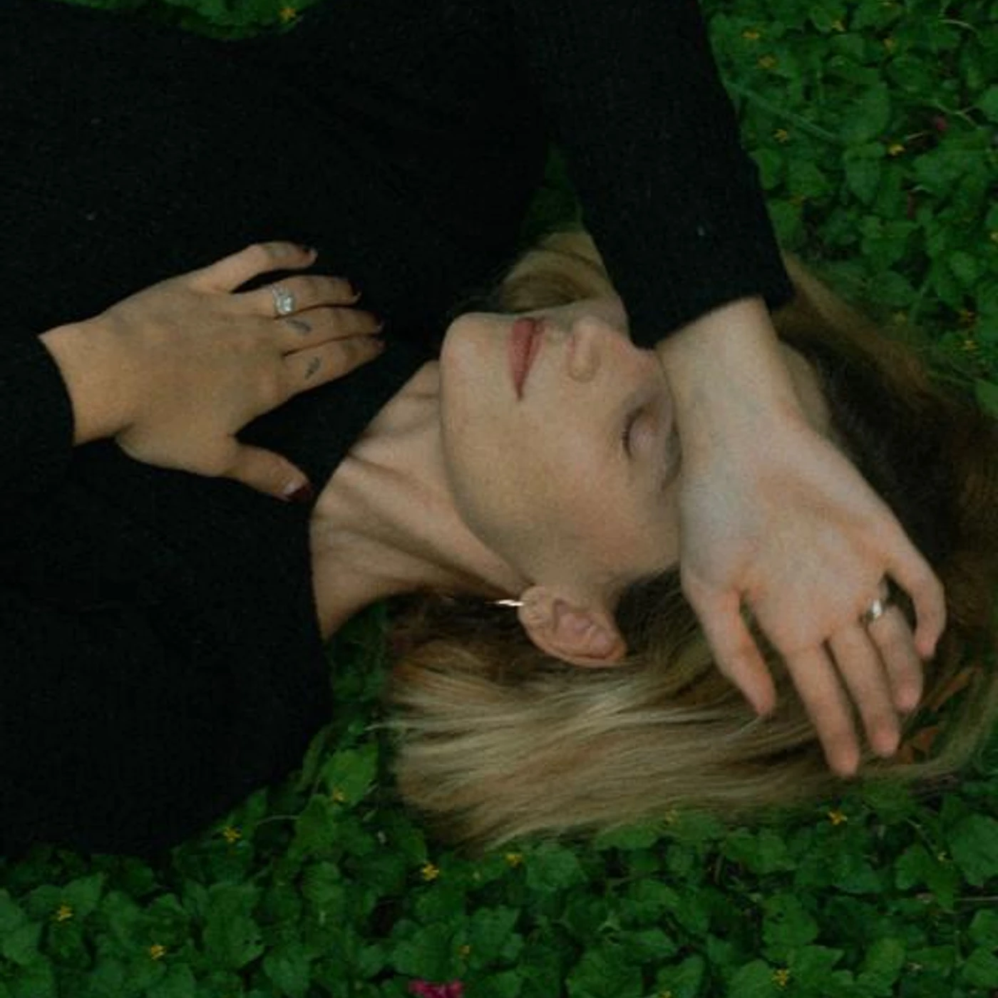 Hollyn Brand Page