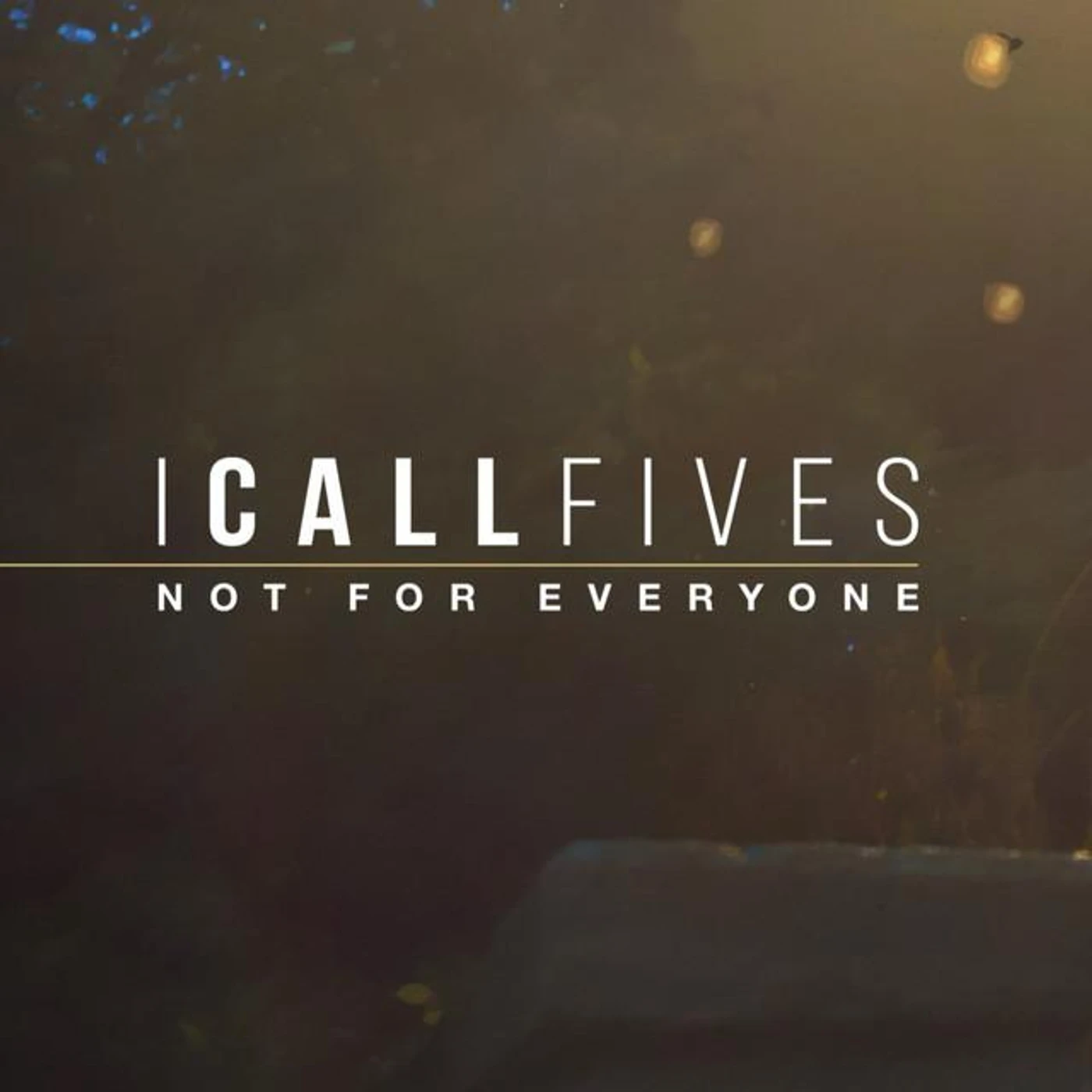 I Call Fives Brand Page