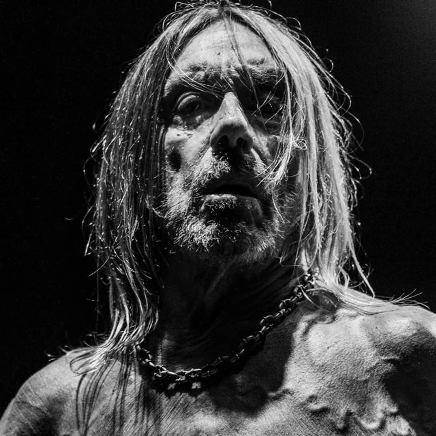 Iggy Pop Brand Page