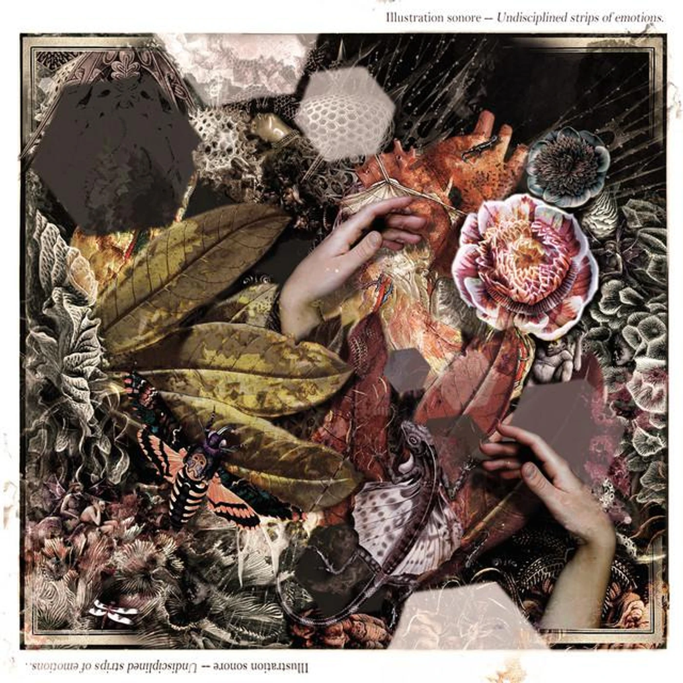 Illustration Sonore
