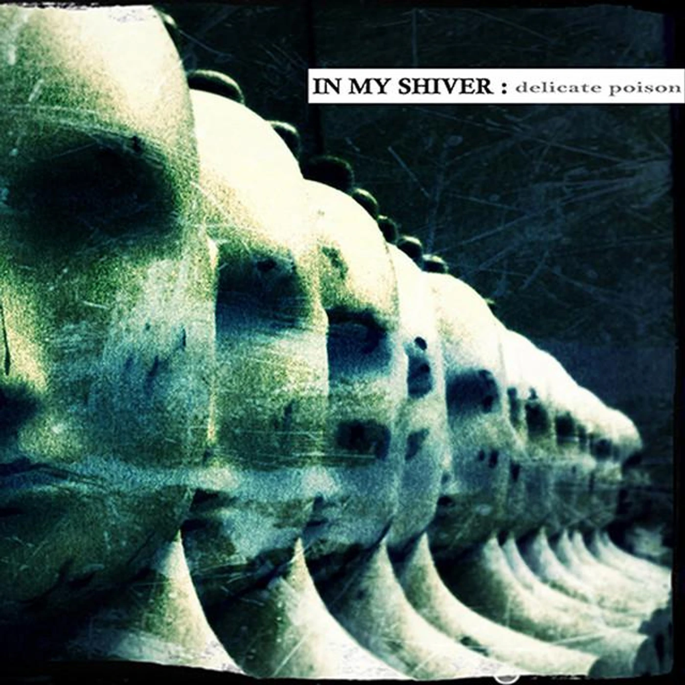 In my Shiver Brand Page