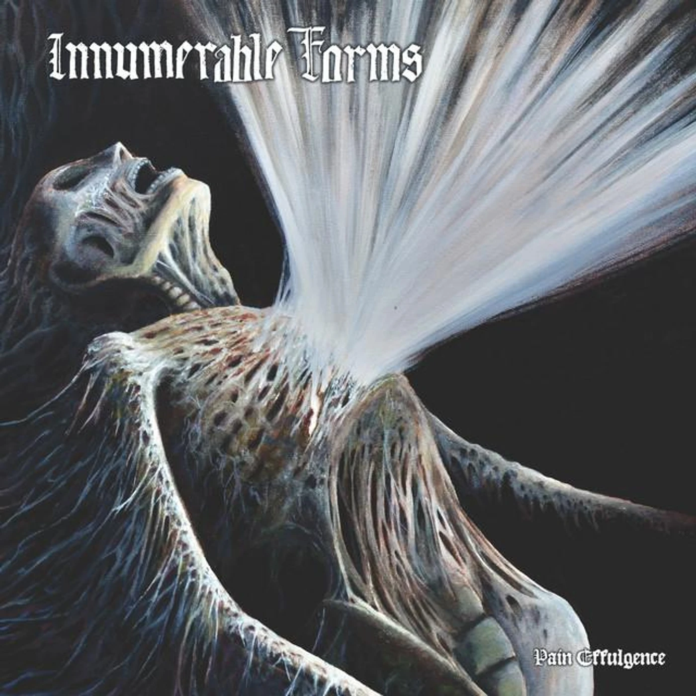 Innumerable Forms Brand Page