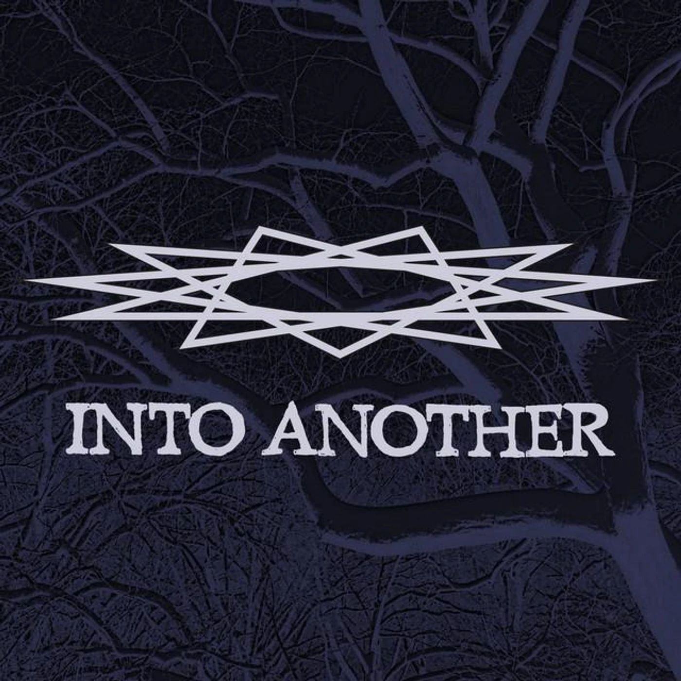 Into Another Brand Page