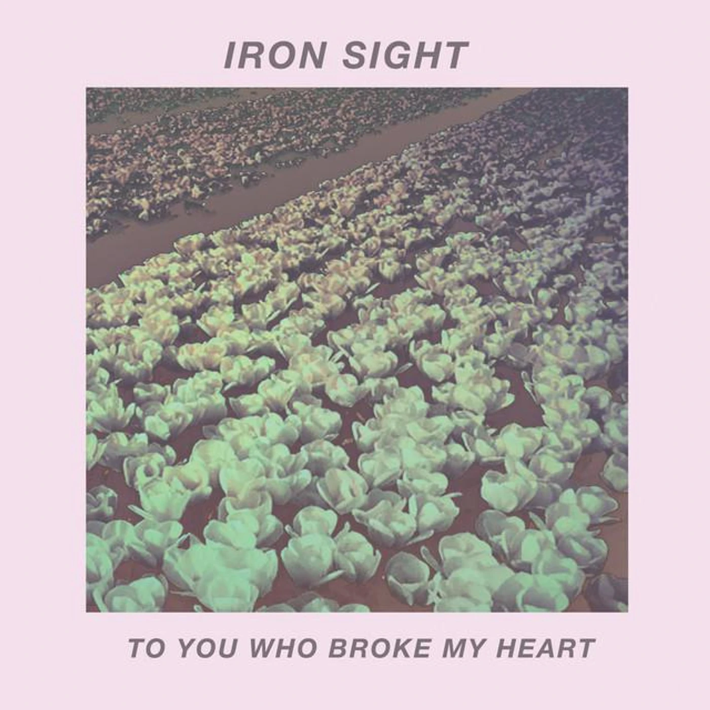 Iron Sight Brand Page