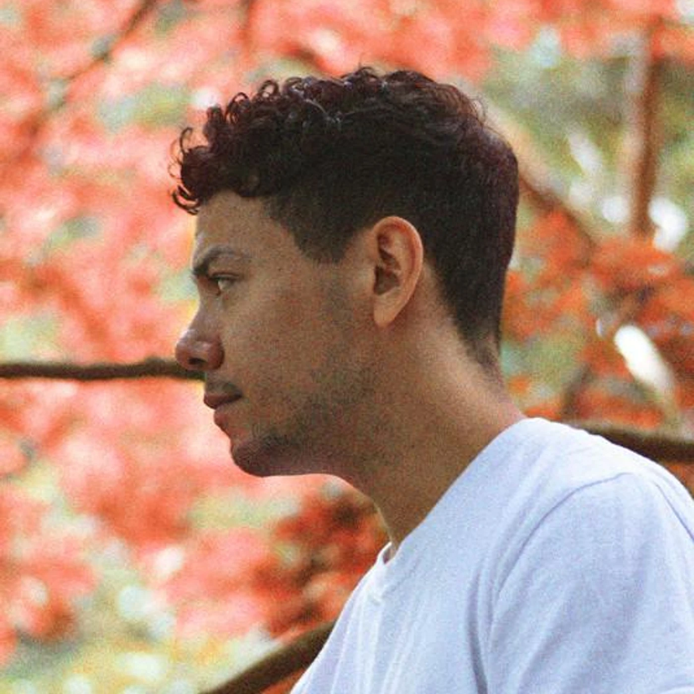 Julian Calor Brand Page