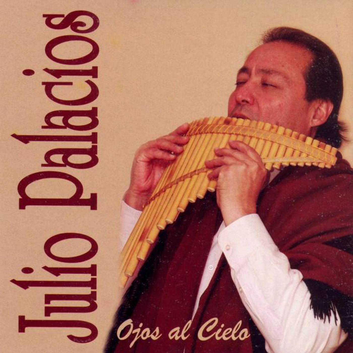 Julio Palacios Brand Page