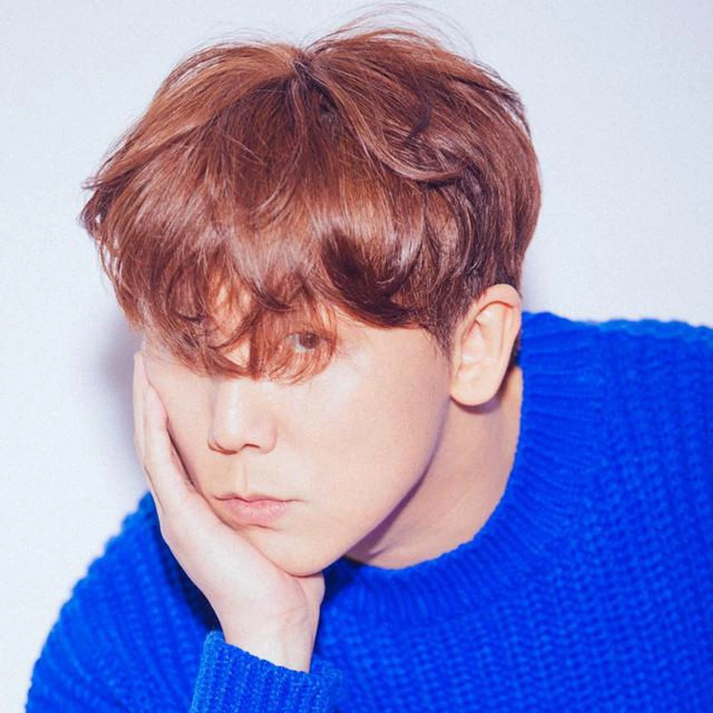 Junggigo Brand Page