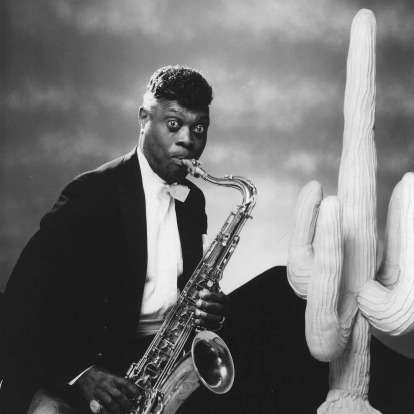 Big Jay McNeely Brand Page
