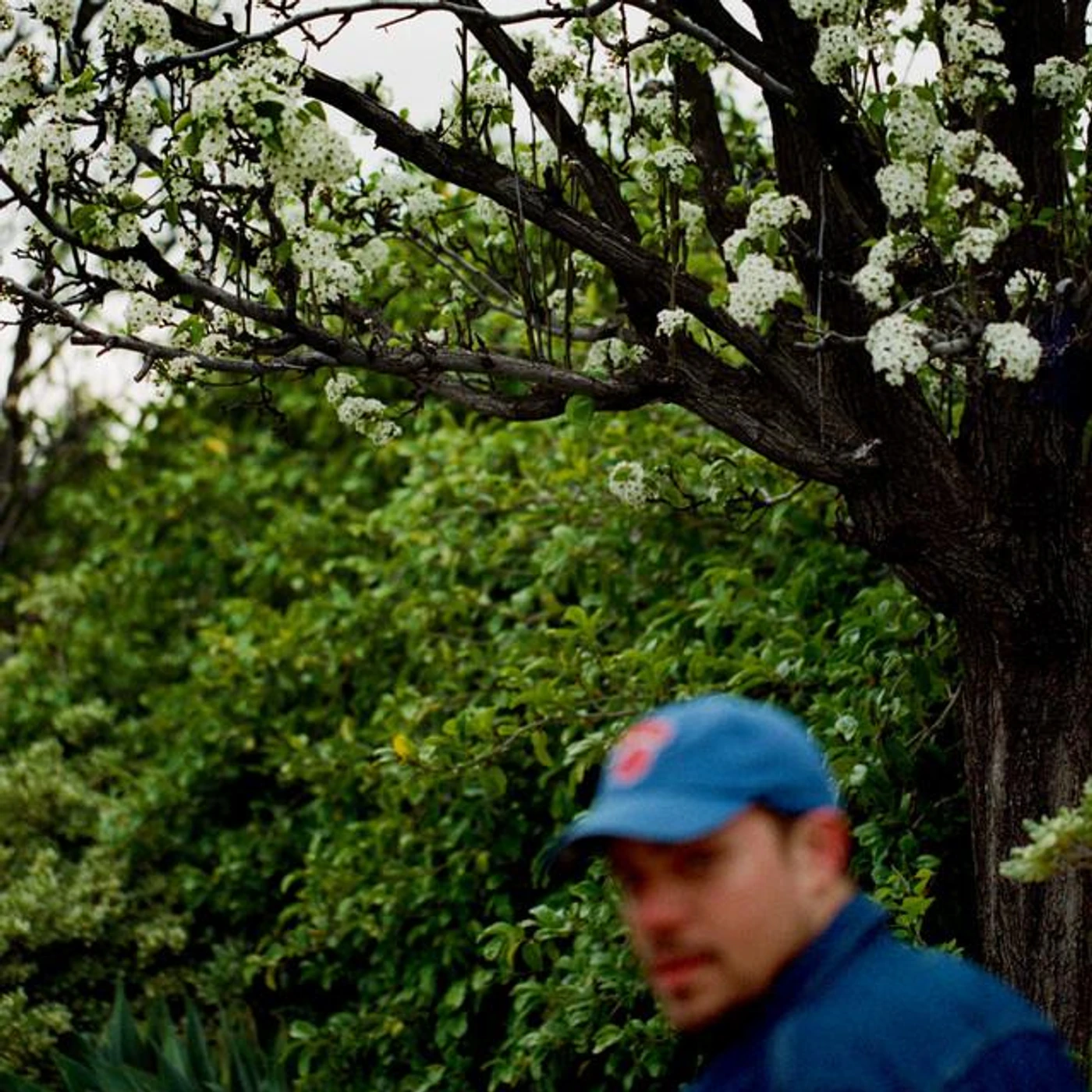 Jeff Rosenstock Brand Page