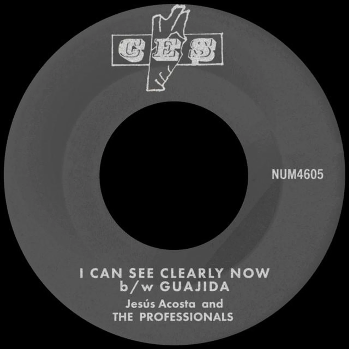 Jesus Acosta & The Professionals Brand Page