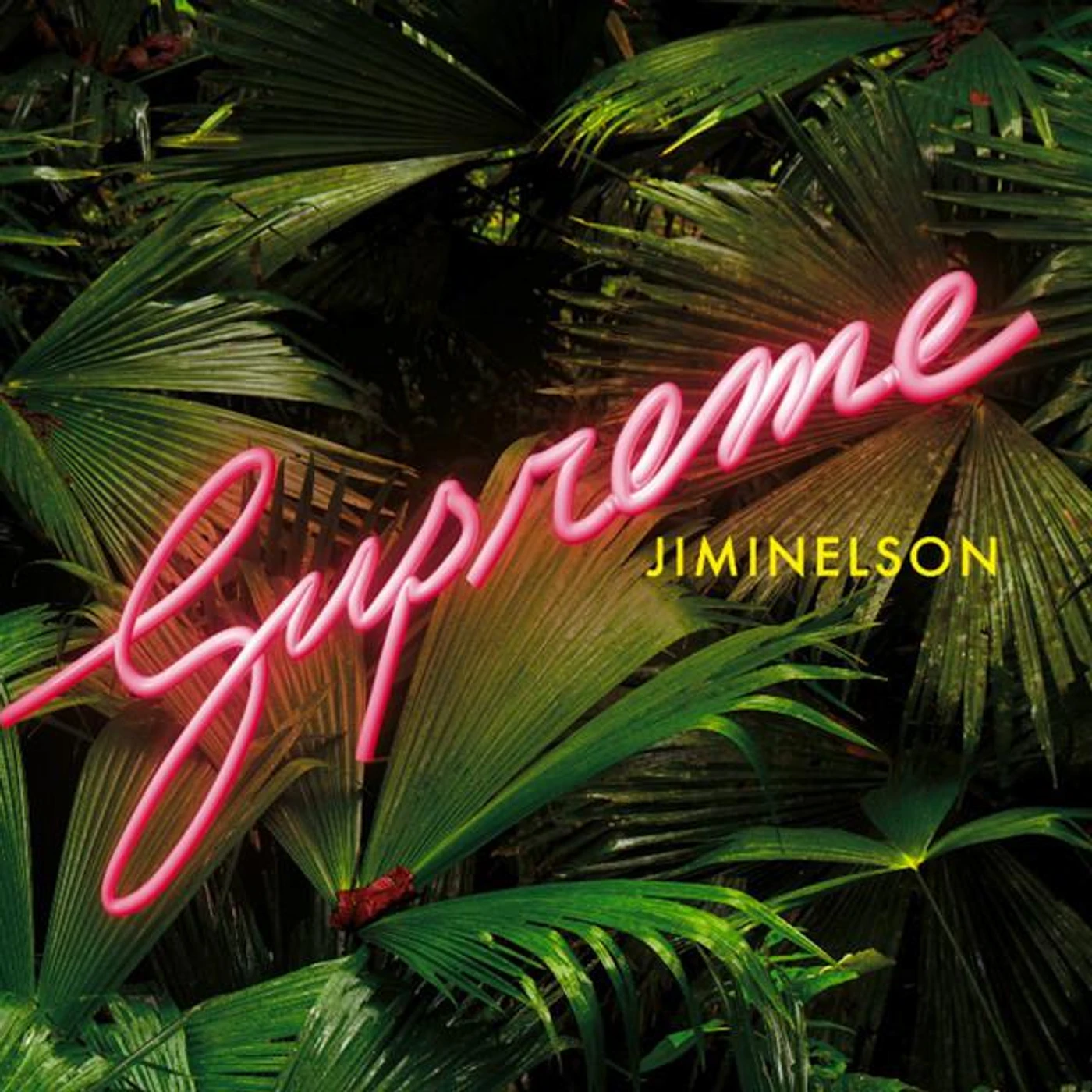 Jiminelson Brand Page