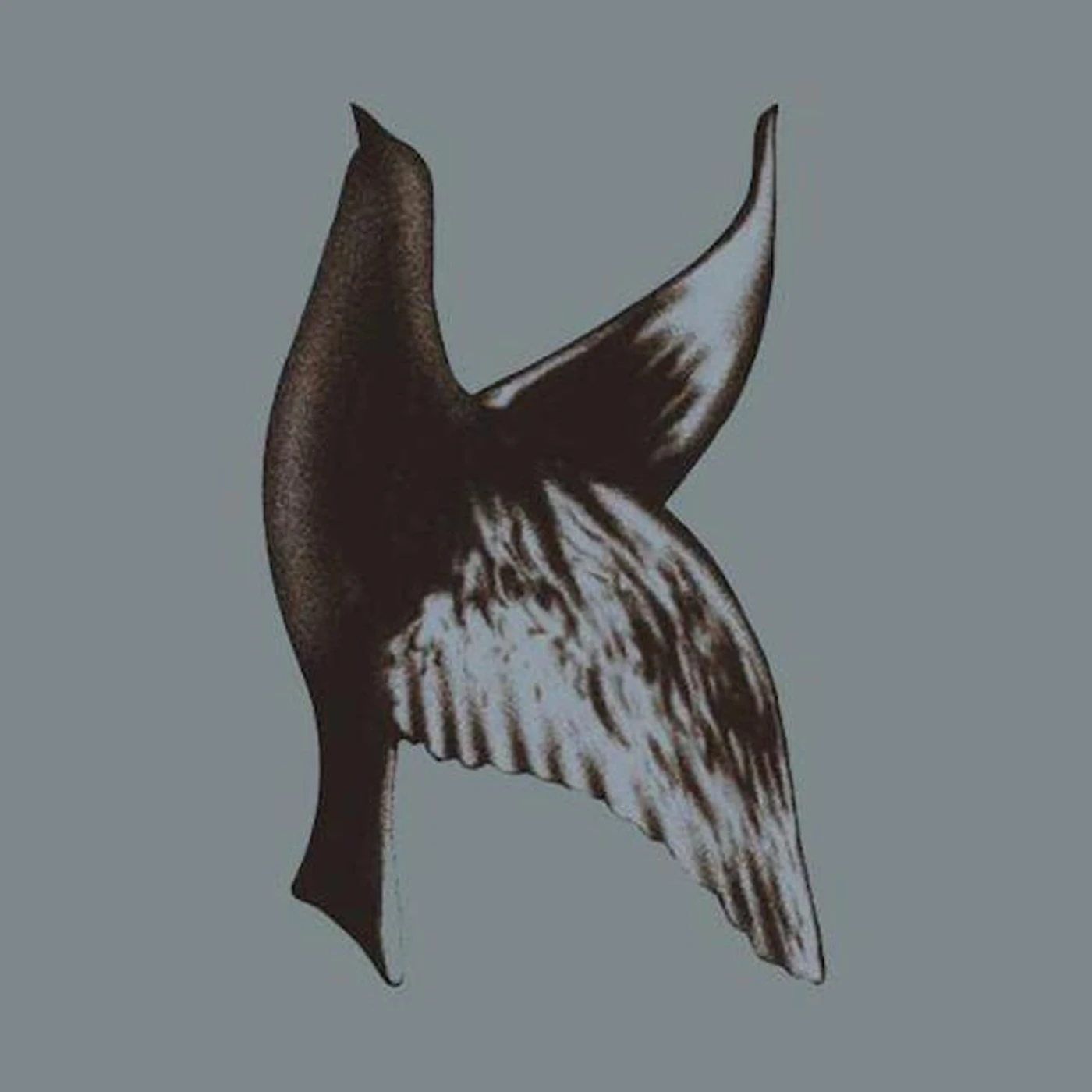 Kurak Brand Page