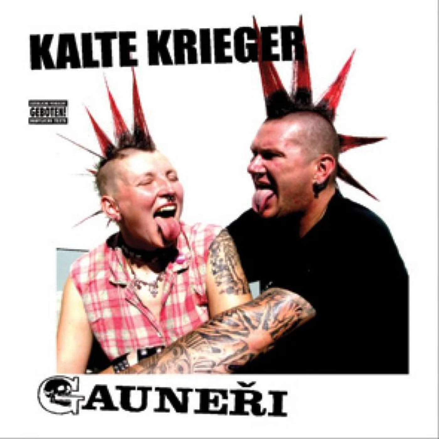 Kalte Krieger