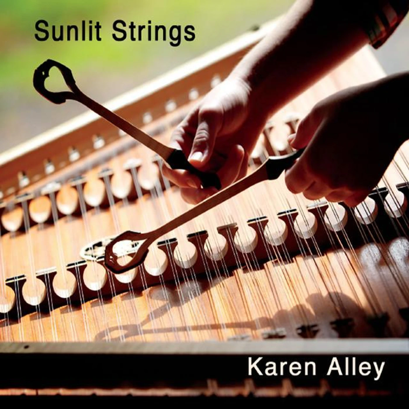 Karen Alley