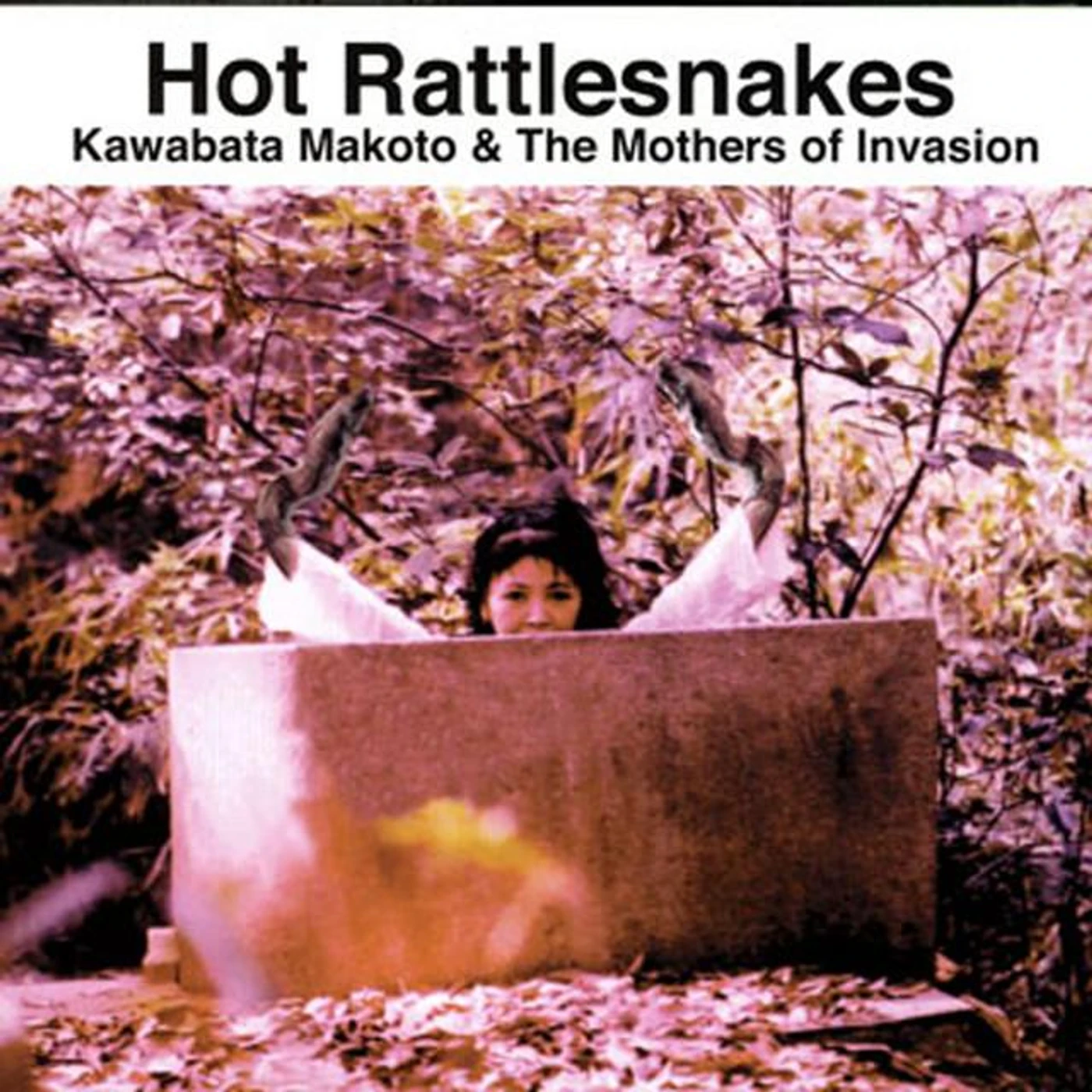 Kawabata Makoto & The Mothers Of Invasion