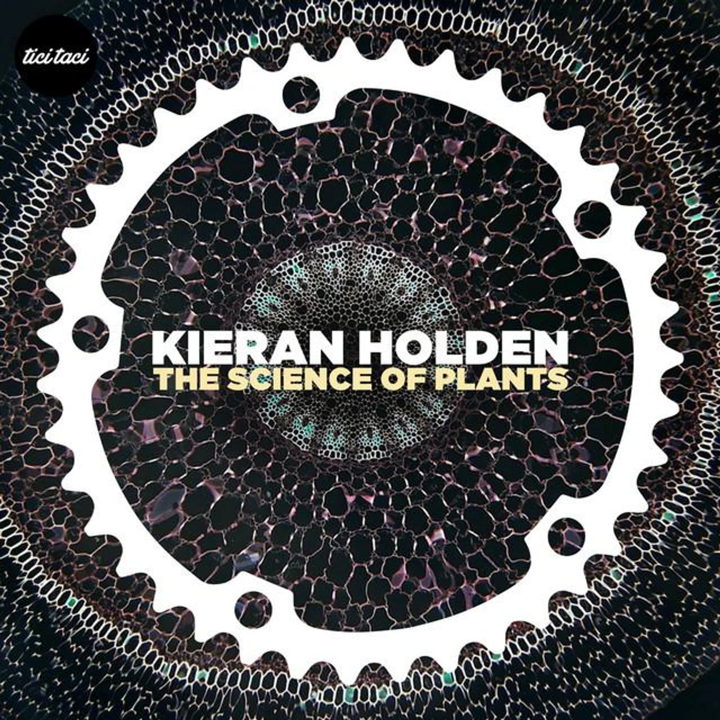 Kieran Holden Brand Page