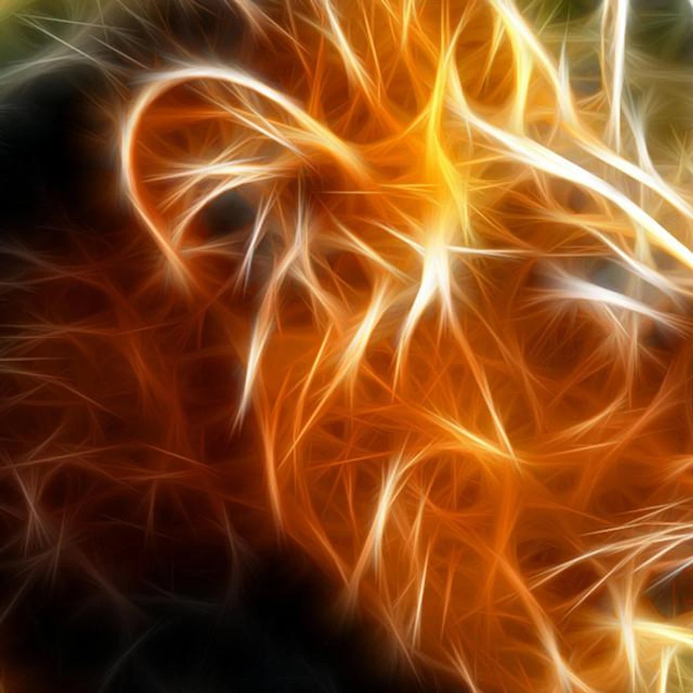 Kion Brand Page
