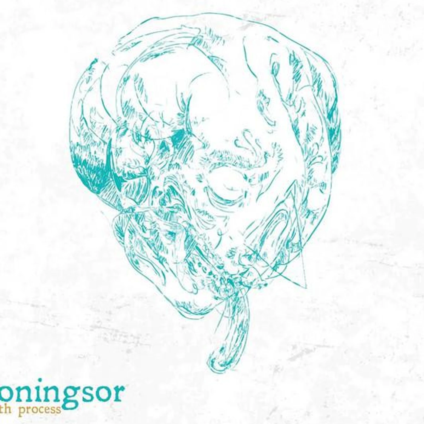 Koningsor