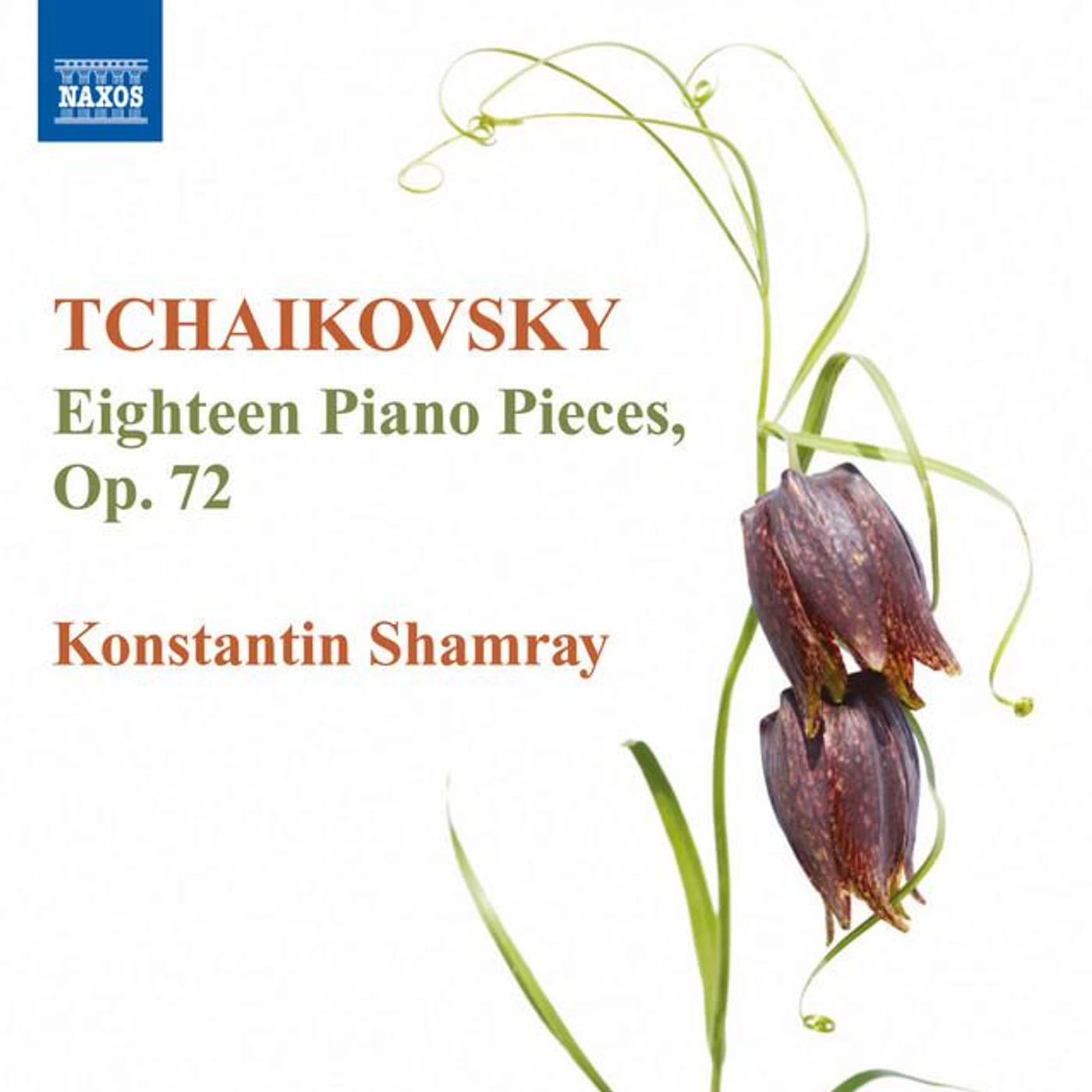 Konstantin Shamray