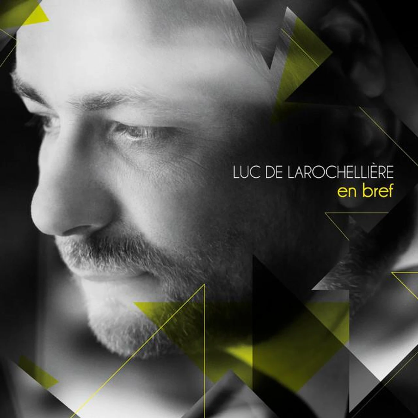 Luc De Larochellière Brand Page