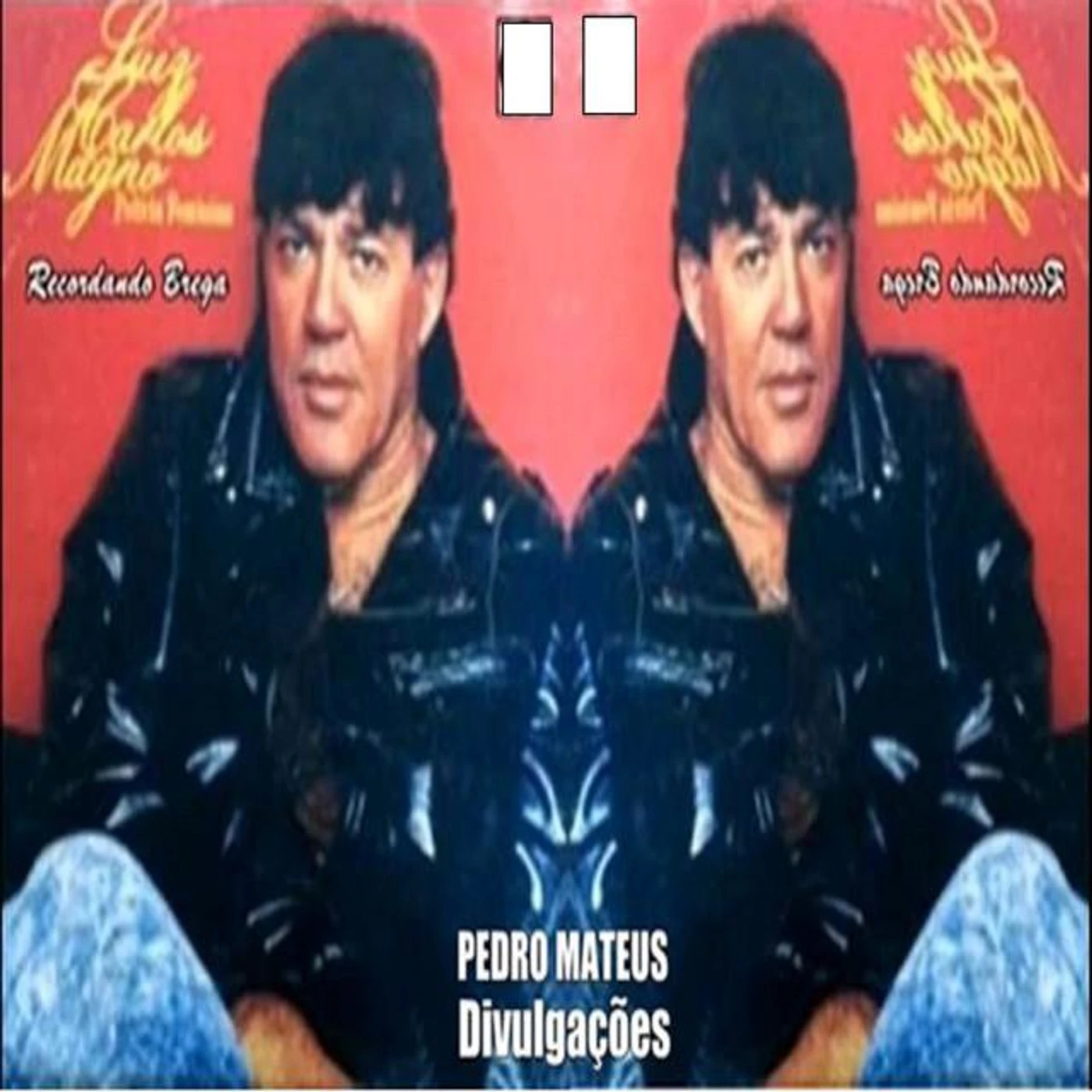Luiz Carlos Magno Brand Page