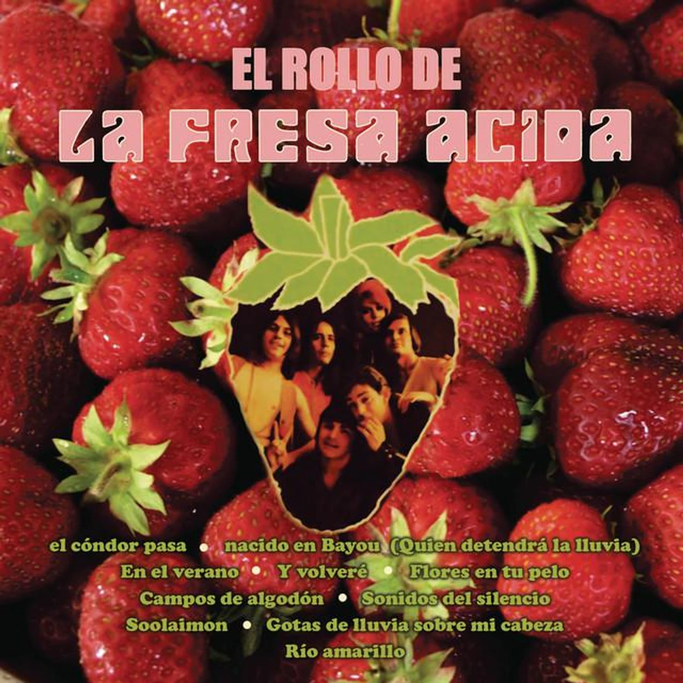 La Fresa Ácida Brand Page