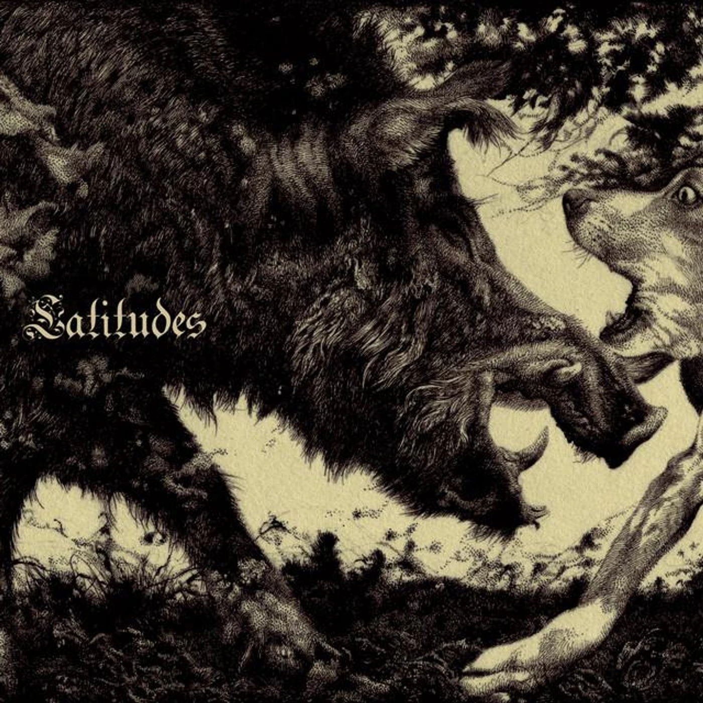 Latitudes Brand Page