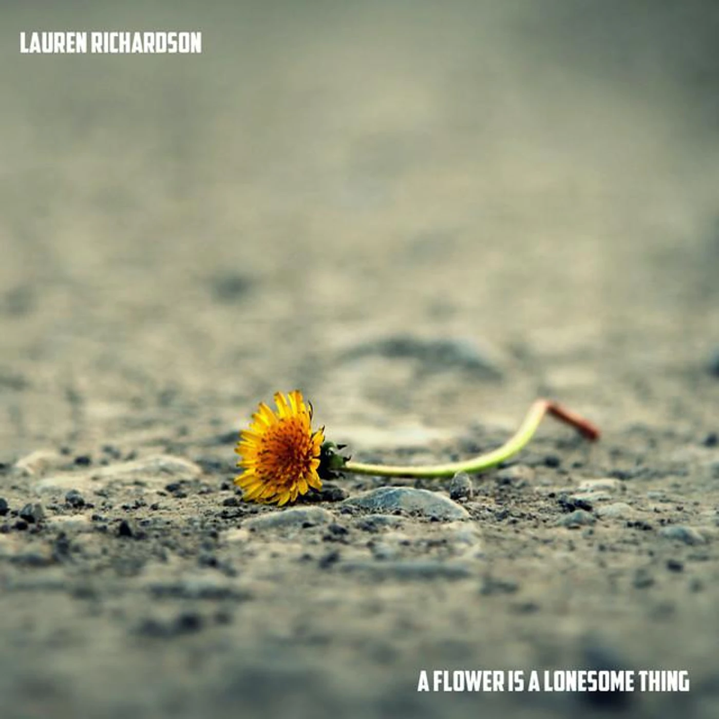 Lauren Richardson Brand Page