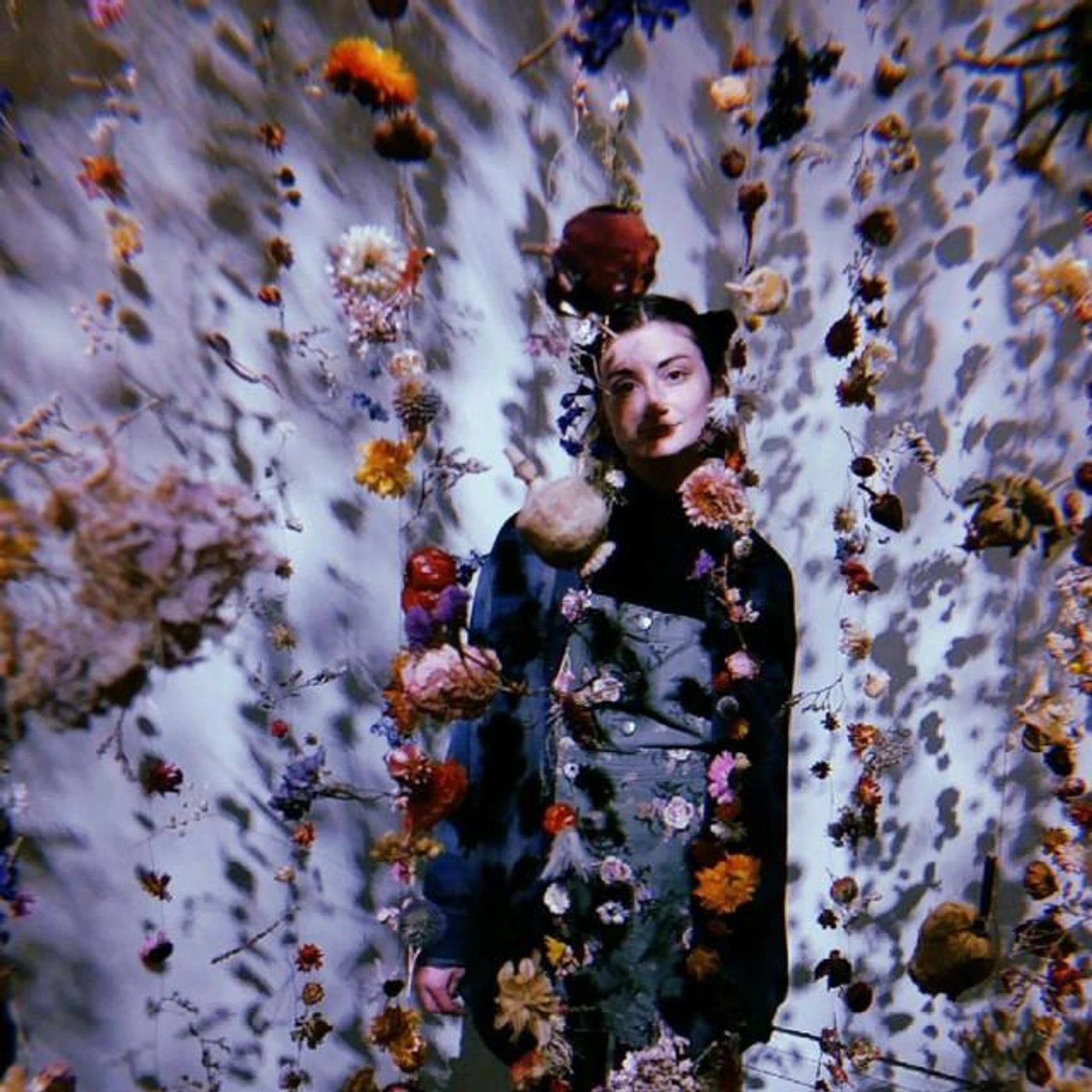 Lavender Ray