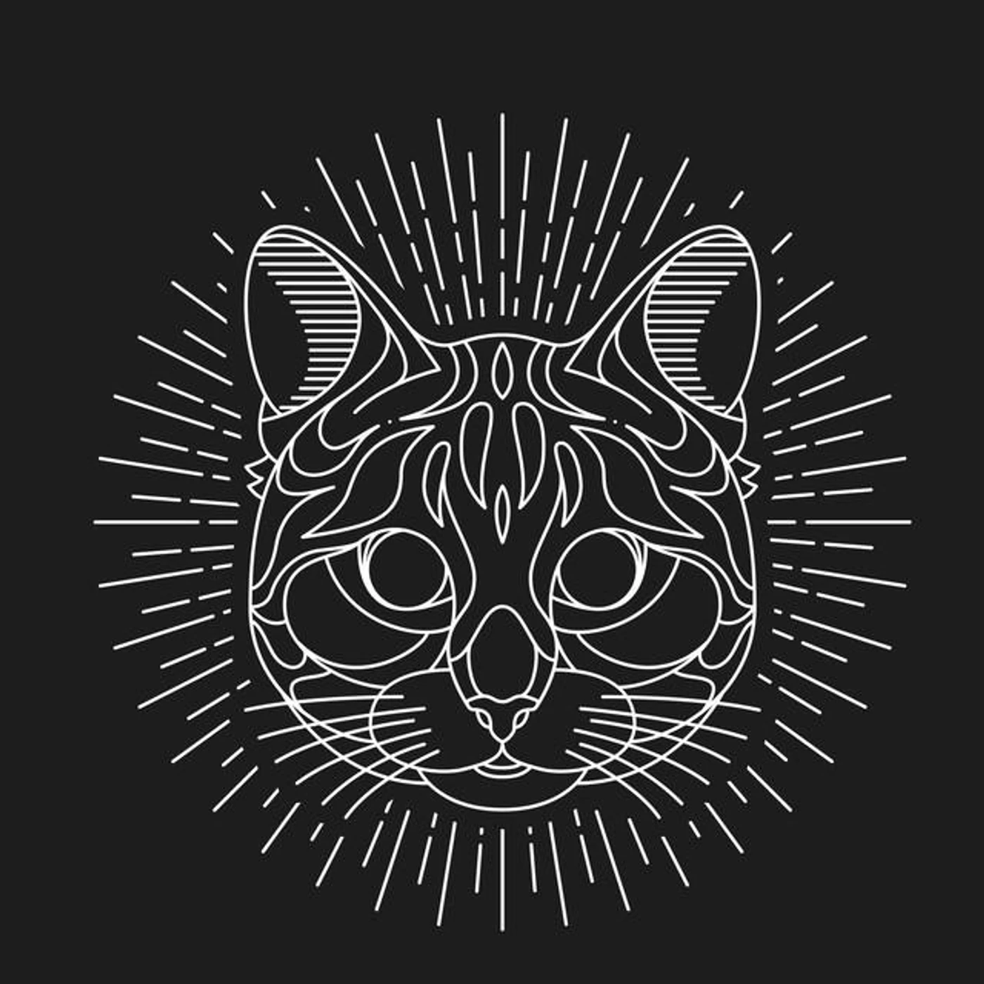 Leda Stray Brand Page