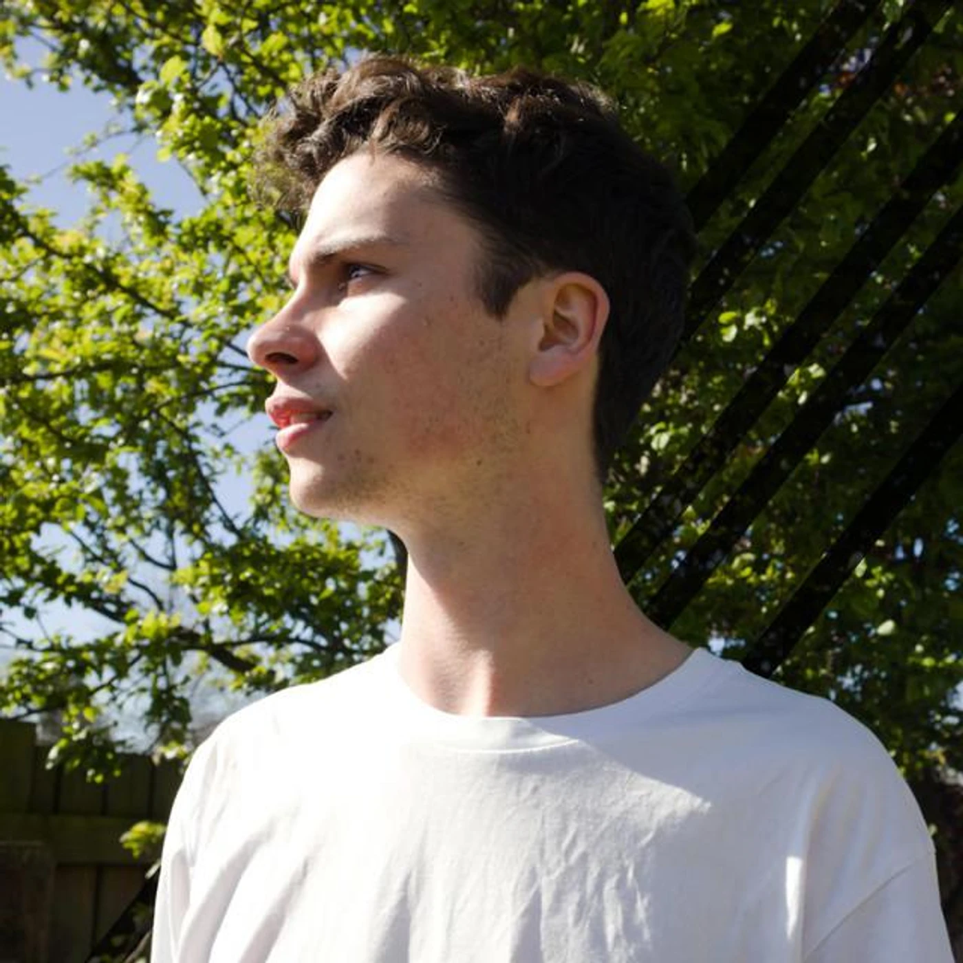 Liam Chessum