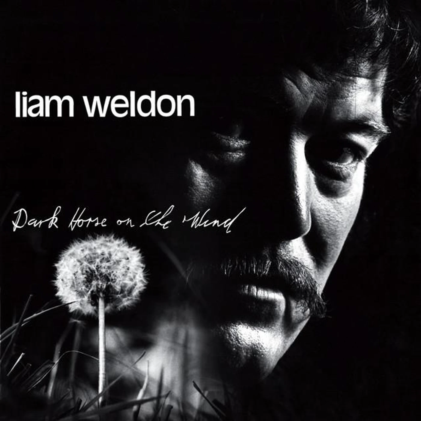 Liam Weldon Brand Page