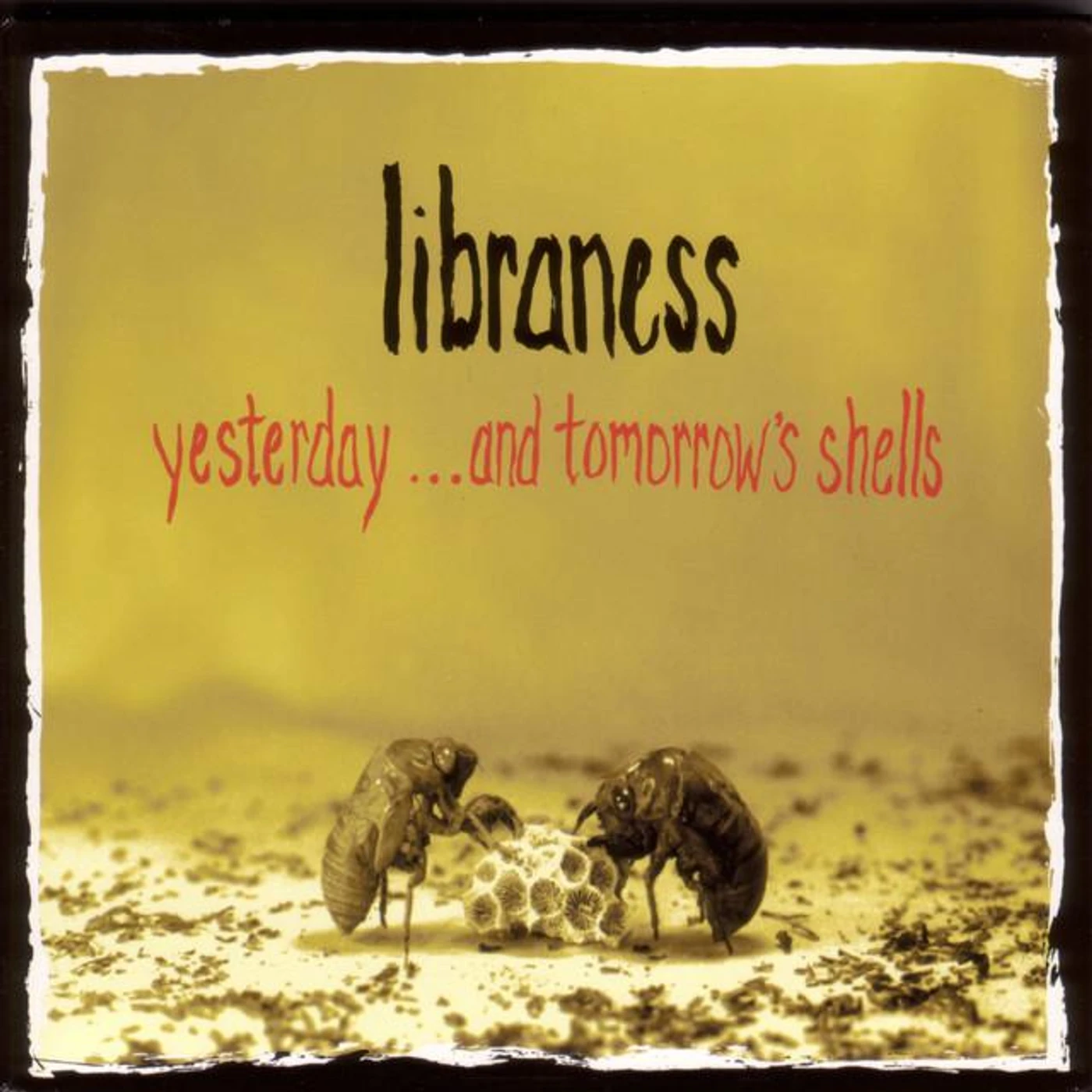 Libraness Brand Page