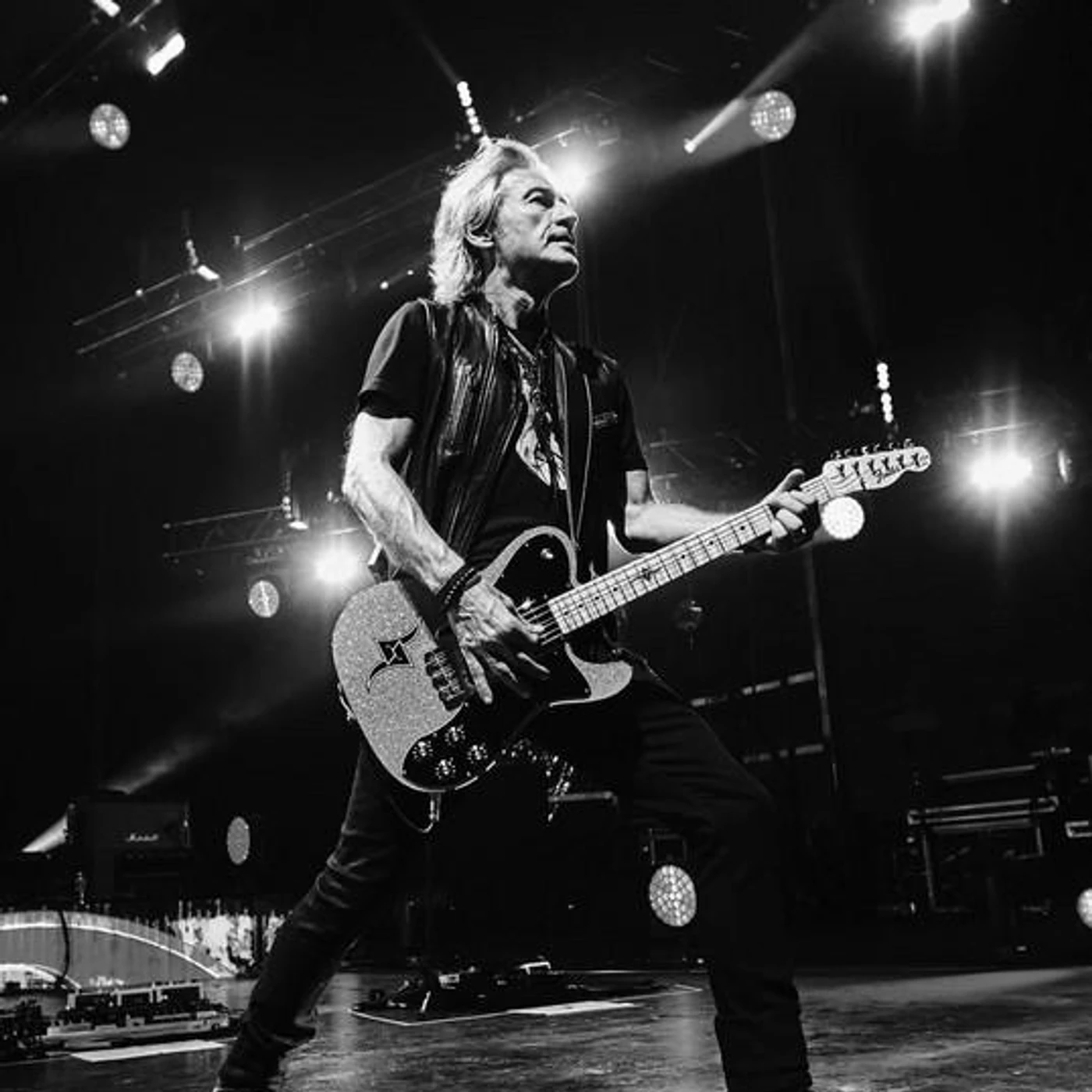 Ligabue Brand Page