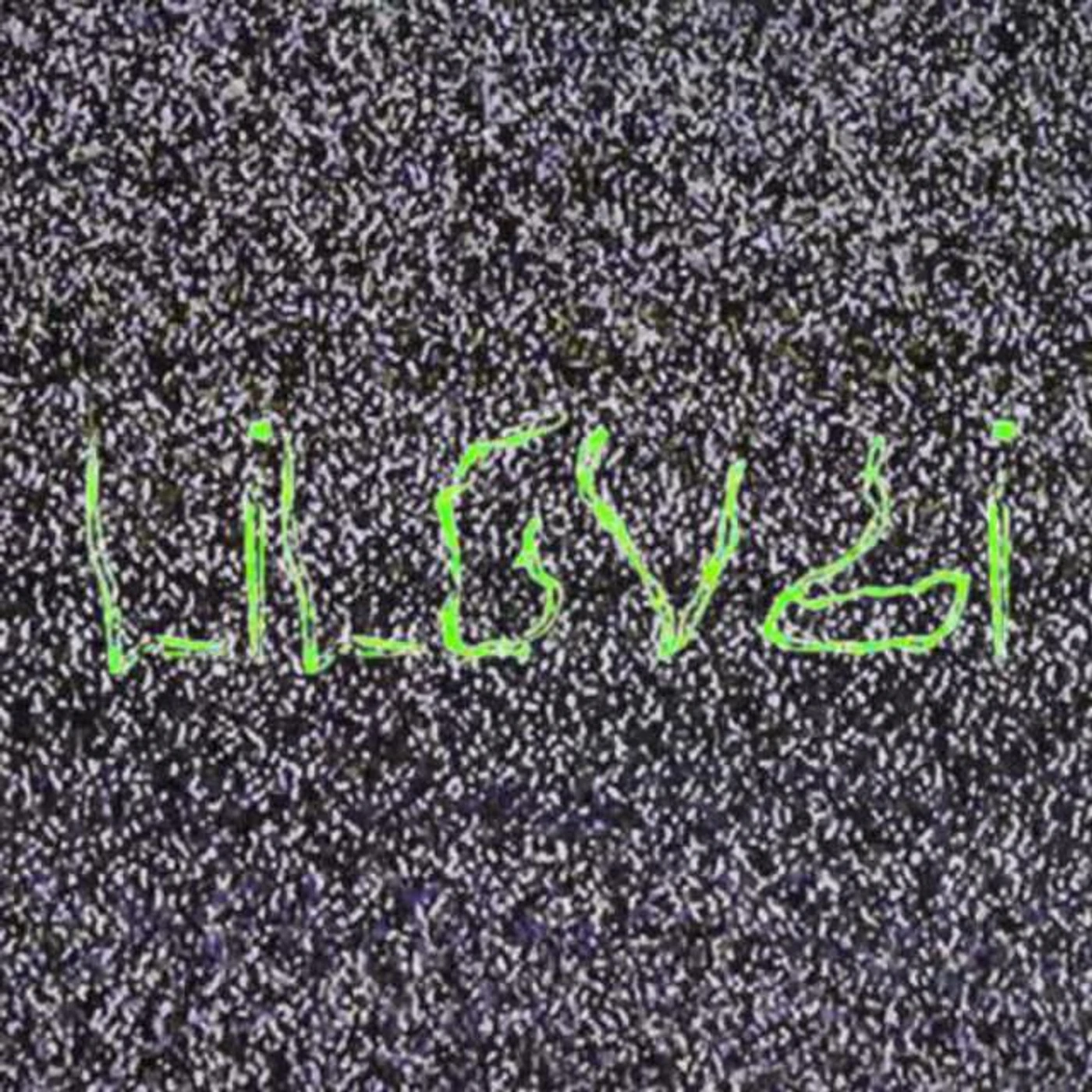lilgvbi Brand Page