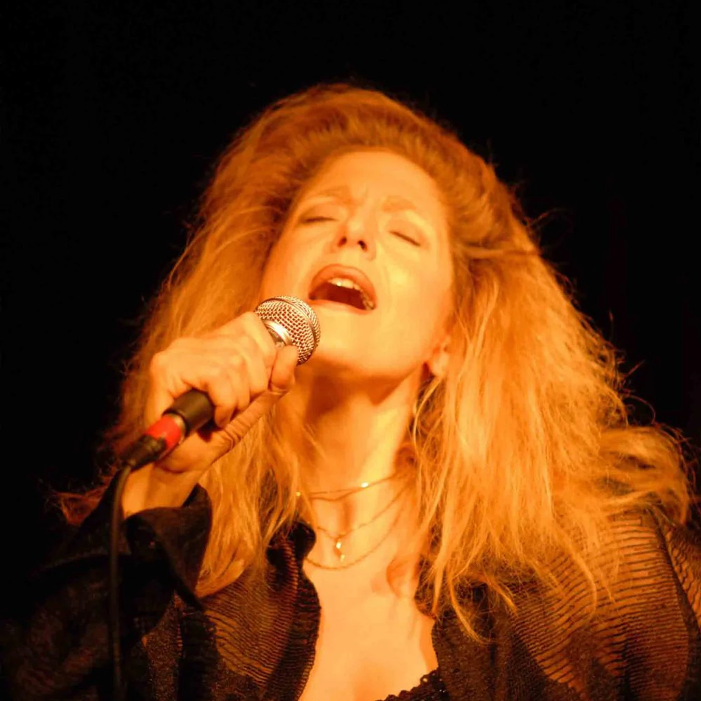 Lisa Kirchner Brand Page